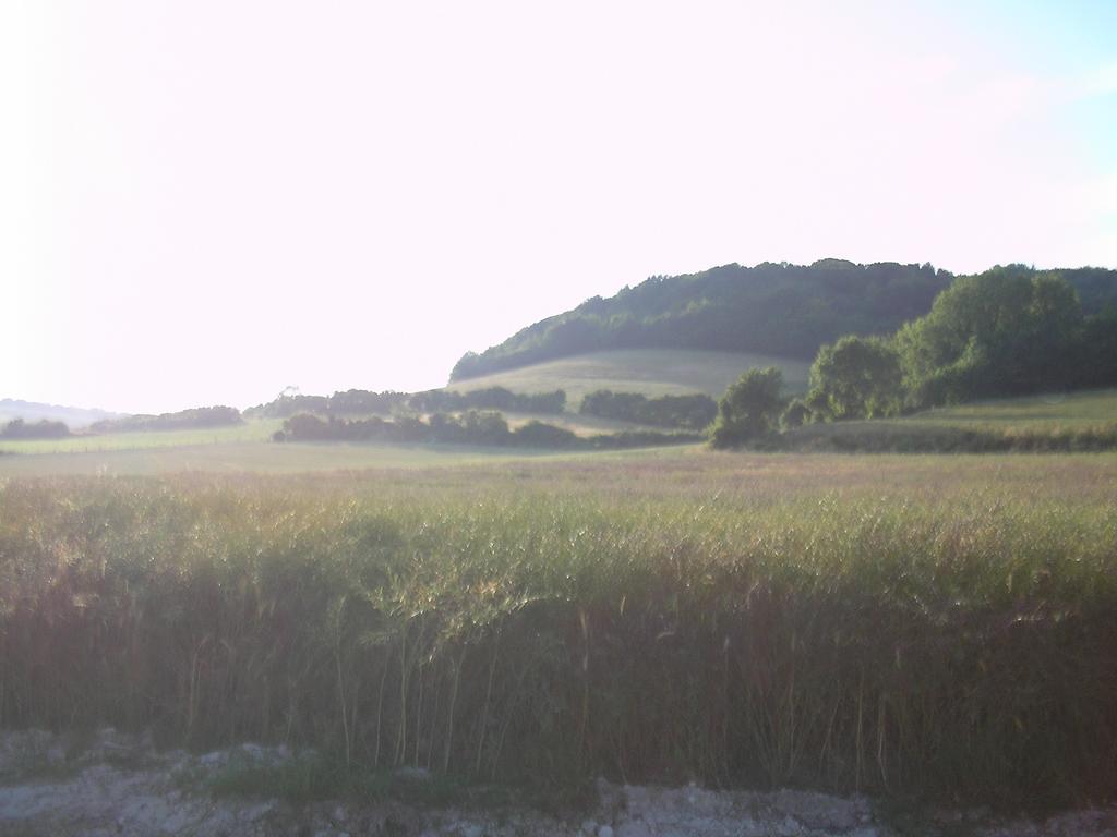Gite "La Solitude" Licques Quarto foto
